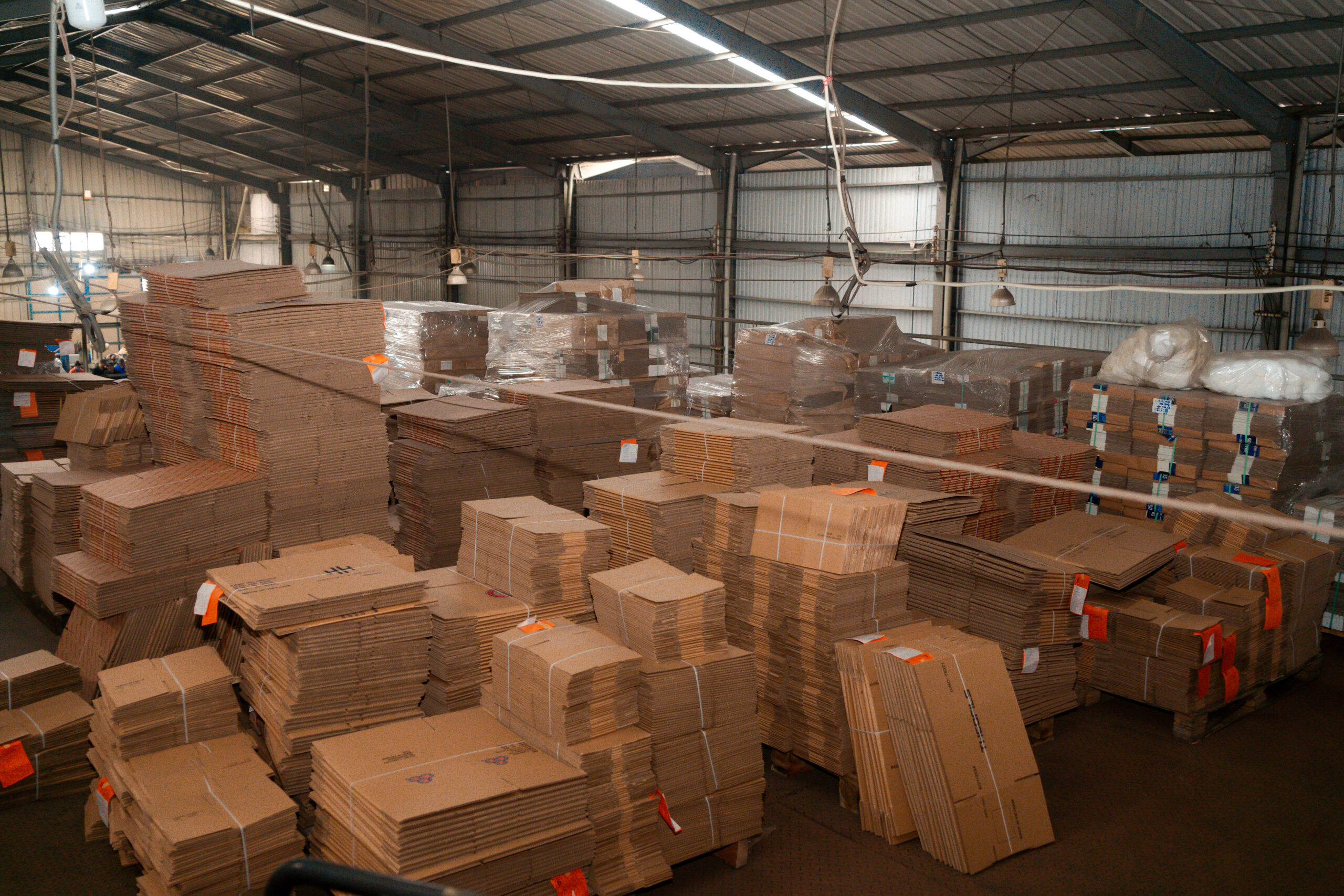 GreatHil-Editedl-2024-145